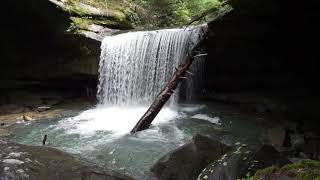 Daniel Boone National Forest Kentucky Hiking Trails w/ Waterfalls | Vlog