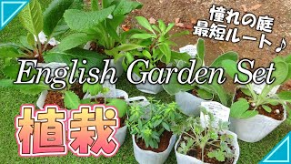 【ガーデニング】イングリッシュガーデン花苗セットの植栽｜宿根草・多年草の花苗｜ピーターラビットのヒルトップの丘｜ハッピーガーデン