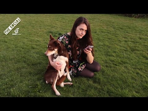 Tinder And Norwegians | Shetland Life Tinder And Norwegians | Shetland Life