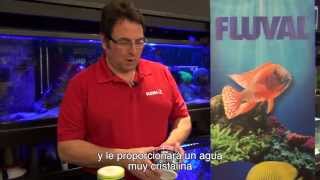 Fluval SEA Total Clear para eliminar contaminantes orgánicos del acuario - Subtitulado