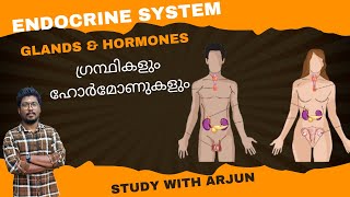 GLANDS \u0026 HORMONES ,BASIC FACTS OF HUMAN BODY KERALA PSC DEGREE ,12, 10TH LEVEL EXAMS