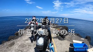 【珠や潜水】伊豆大島 秋の浜 2022年8月27日