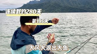 連續野釣280天 第195天 風浪越大魚越“大” 這鯉魚確實大！！