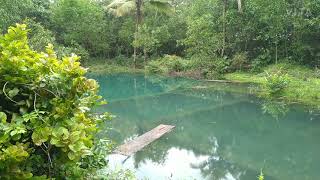 Kerala/ secret paradise on earth/ payyanur/ kerala the beauty/ my home tour