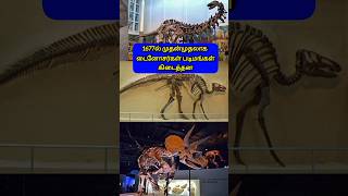 டைனோசர்கள் பற்றிய நீங்கள் அறிந்திராத உண்மைகள் #dinosaurs #unknownfacts #intrestingfacts #trending