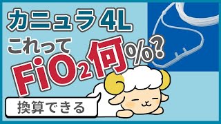 【9割が知らない】カニュラの流量をFiO2に換算する方法