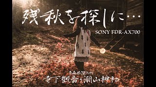 残秋を探しに… 寺下観音・潮山神社　SONY FDR-AX700