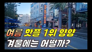 여름보다 더 뜨겁게 겨울 양양 즐기는 법