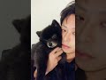 やんちゃ坊主くま君トリミング完了🐻 pomeranian ポメラニアン dog doglover 黒ポメ 犬 犬のいる暮らし 平和 やんちゃ こぐま トリミング