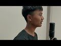 ngopa tleirawl various artist rawlthar tang fan fan cover