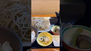 【足利】蕎麦＋肉メニューのセットが豊富！行列のできるお店〜そば処やまもとで唐揚げセットを食べてきました♪