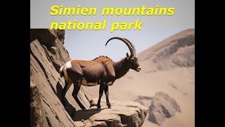 the Simien Mountains National Park in Ethiopia,