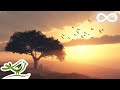 Beautiful Romantic Music • Relaxing Music, Guitar Music, Violin Music, Cello Music, Piano Music