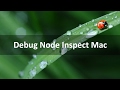 Setup Debugging Node Inspect Option Mac
