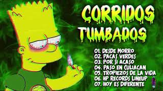 Corridos Tumbados Mix 2021🧡Herencia de Patrones,Junior H,Natanael Cano,Tony Loya