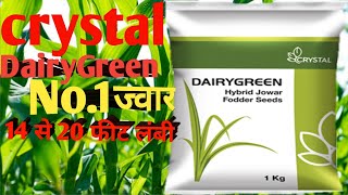 #CRYSTAL DAIRYGREEN Hybrid Jowar Fodder Seeds