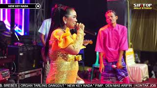 TENGDUNG TENDA BIRU LOSARANG - BUNDA MUMUN | NEW KEY NADA LIVE PEJAGAN UTARA TANJUNG