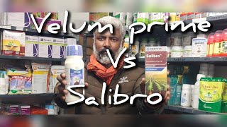 VELUM PRIME VS SALIBRO| NAMATICIDE