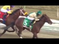 Samraat - TVG 2014 Kentucky Derby Profile