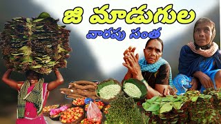 g madugula tribal market || organic vegetables tribal market || అల్లూరి జిల్లా గిరిజనుల వారపు సంత