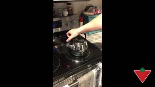 Paderno Stainless Steel Stovetop Kettle reviewed by Troy