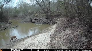 Voopeak game camera river timelapse (stock footage)