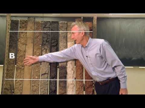 How does soil composition change with depth?