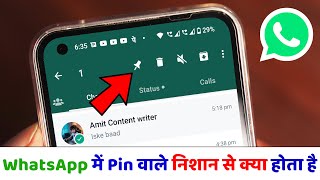 WhatsApp Me Pin Wala Nishan Se Kya Hota Hai, WhatsApp में Pin निशान से क्या होता है एवं मतलब क्या है