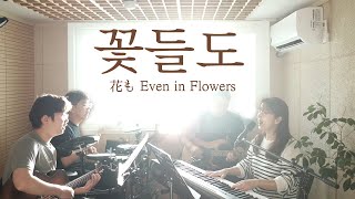 꽃들도(花も) | Even in Flowers  (covered by Family Worship)