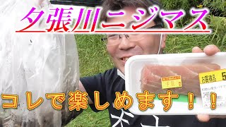 【夕張川釣り】９月チョイ釣りニジマス釣り！！