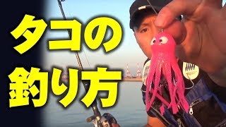 タコでタコを攻撃してタコを釣る！【タコジグ】【タコ釣りの方法】【大阪湾】【沖堤防】【YOSHIKI】【TJ】