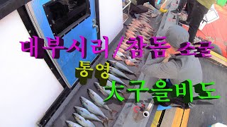 대부시리,참돔소굴 # 통영  大구을비도 # 엄청난 파워 # 말이 필요없는 횟감 # 한번은 눈에 담아와야 하는 멋진 섬 # 통영 알파호