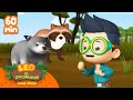 ¡1 HORA CON ANIMALES COMO GATOS Y PERROS! 🐱🐶 | Leo, El Explorador | Animación | #compilación