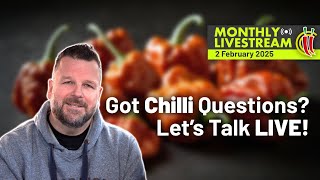 Live Q\u0026A + Chilli Chat! – February 2025 | ChilliChump Monthly Livestream