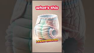 Learn English: Diapers 🍼 | Everyday Vocabulary