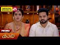 Next Week in Kayal - Promo | 21 Oct 2024  | Tamil Serial | Sun TV