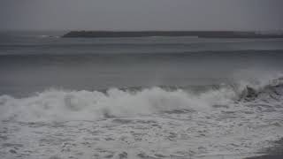 2017.10.22 台風21号　シラカバ