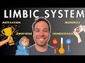 The Limbic System - Motivation, Emotions, Memories, and Drives