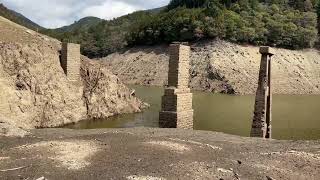 魚梁瀬ダム貯水池に現れた　森林鉄道の橋脚