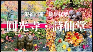 【混雑回避】混雑を避けて京都の絶景紅葉をゆっくり満喫できるスポット/圓光寺/詩仙堂丈山寺/雨の日にしっとり楽しむ風情漂うお寺