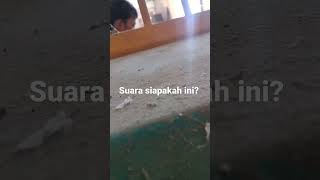 merinding, terdengar seperti suara gaib  #shorts #viral #youtube