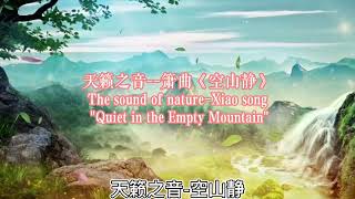 箫曲《空山静》天籁之音 ，聆风晚，香茗氲绕意缱绻。most beautiful chinese music