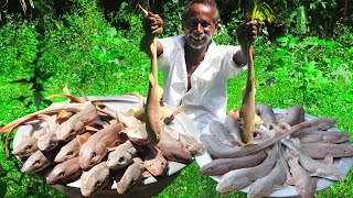 KING OF SHARK FISH RECIPE |  Suvaiyana Sura Puttu | Prepare by Karuppasami Thatha