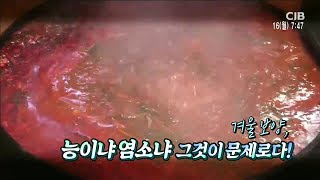 겨울 보양, 능이나 염소냐 그것이 문제로다!