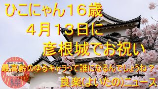 【良楽ニュース】彦根市ゆるキャラのひこにゃんが16歳に