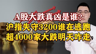 A股大跌真凶是谁？沪指失守3200谁在逃跑？超4000家大跌明天咋走