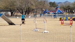 Brooklyn Feb 2025 Agility Trial Tucson