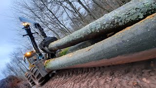 Débardeur HSM 904 sound/ Débardage gros bois/ Skidder