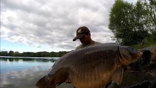 Big Carp in Iktus Lake Swin 6