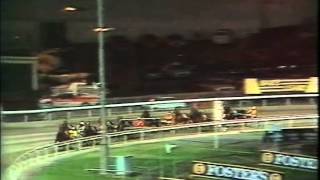 Harness Racing,Harold Park-1988 Inter-Dominion Heat-11 (Bag Limit-V.J.Night)